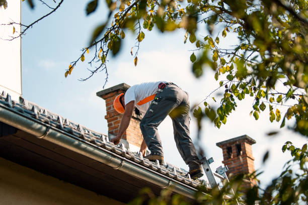 Roof Moss and Algae Removal in Deer Park, NY